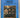 Power: a political history of the twentieth century by C. S. Nicholls