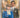 Debrett's book of the royal wedding by Hugo Vickers