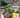 Sensational Barbecues by Family Circle, Rachael Bermingham