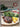 Sensational Barbecues by Family Circle, Rachael Bermingham