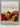 Main Dish Vegetables (Perfect) by Anne Willan