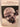 Story of My Experiments with truth by Mohandas Karamachand Gandhi
