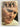 The People's Pope by James Oram