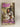 The Legend of Banzai Maguire (2176 Series, Book 1) by Susan Grant