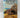 Venetia by Georgette Heyer