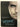 Caressed by Ice (Psy/Changelings) by Nalini Singh
