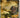 The Illustrated Longitude by Dava Sobel and William J. Andrewes