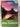 Discover New Zealand by Charles Rawlings-Way,Peter Dragicevich,Sarah Bennett,Lee Slater,Brett Atkinson