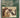 New Zealand Photography From the 1840s to the Present by William Main and John B. Turner