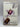 A Pack of Lies by Geraldine McCaughrean