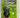 Diary of a Minecraft Zombie #15: Attack of the Gnomes by Zack Zombie