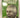 The Whitlam venture by Alan Douglas Reid