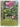 Gardening Easy Trees by Geoff Bryant