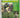 Focus on rugby: An international coaching book: based on the television series Focus on rugby by Carwyn James