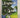 England 8 (Lonely Planet) by Neil Wilson, Marc Di Duca, Oliver Berry, Fionn Davenport