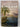The Collector's Dream by Pierre Furlan, translated by Jean Anderson