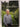 The Winemaker: George Fistonich and the Villa Maria Story by Kerry Tyack