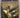 Beckoning Skies: a pilot's story 1936-1960 by Bryan Elliot Young