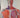 The Human Body Book (Book & DVD) by Steve Parker, Robert Winston