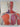 The Human Body Book (Book & DVD) by Steve Parker,Robert Winston