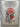 Bulbous Plants of Southern Africa: A Guide to Their Cultivation and Propagation by Niel Du Plessis,Graham Duncan