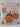 Healthy Eating for Babies & Toddlers by Jill Scott,Anne Sheasby
