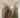 Waldheim by Luc Rosenzweig, Bernard Cohen