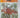 Ivies (Wisley Handbook 34) by Hazel Key