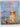 St. Petersburg by Colin Amery,Brian Curran,Yuri Molodkovets