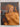 Print Books - Titien Tintoret Veronese Rivalites a Venise by Unknown - Book Express