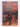 Nature's Argonaut: Daniel Solander 1733-1782 by Edward Duyker
