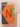Kramer's Nederlands Engels Dictionary