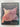 The Ubiquitous Pig by Marilyn Nissenson,Susan Jonas