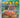 Pasta Cookbook : pasta and noodles for today by Simon Holst