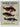 Marine Fishes of New Zealand by John M. Moreland