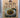 New Kitchen Dairy Vol 1 by Alison Holst's