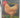 Choosing and Keeping Chickens by Chris Graham