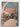 Frank Furness: Architecture and the Violent Mind by Michael J. Lewis