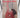 Domestic bliss: Molly Dye’s Recipes for Good Living by Molly Dye