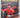 Autocourse 2000-2001 by Alan Henry