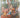 Turquerie: An Eighteenth-Century European Fantasy by Haydn Williams