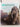 Elephants: A Book for Children by Steve Bloom,David Henry Wilson