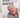 Eyup Knutty: The Life and Loves of a Stand Up Comic by Robert Wass