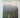 Oasi Zegna: A Journey Into the Green Thought of Ermenegildo Zegna by Swan Group
