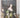 Fashion and Fiction: Dress in Art and Literature in Stuart England (The Paul Mellon Centre for Studies in British Art) by Aileen Ribeiro