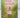Anne of Green Gables by L. M. Montgomery