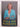 Pull No Punches: Memoir of a Political Survivor by Judith Collins