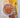 Cooking with flair: food for healthy appetities by Alison Holst