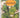 Vegetables (Rodale's Good Food Kitchen) by Anne Moyer and Gillian Andrews