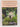 Gardens of Britain: Dorset, Hampshire and the Isle of Wight v. 2 by Allen Paterson